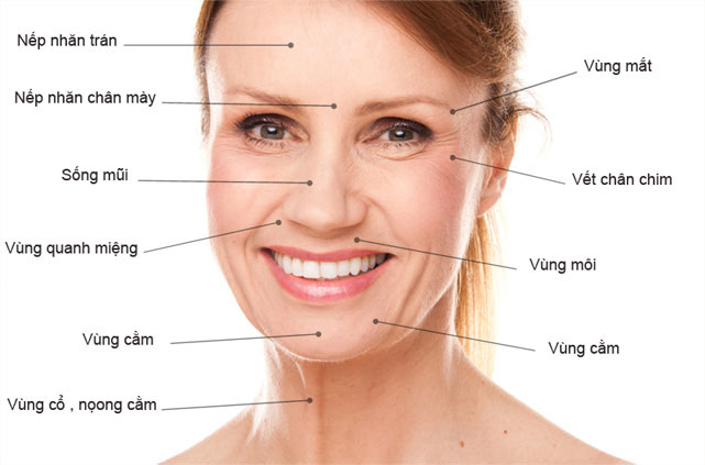 Dấu hiệu lão hóa da